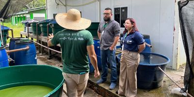 Vista da empresa Castanhal Têxtil ao Campus Manacapuru
